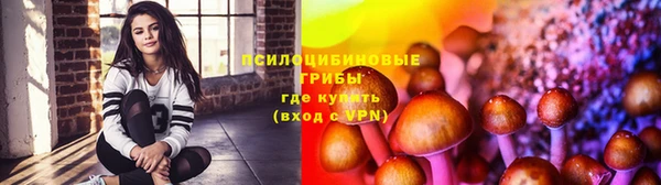 таблы Лиски