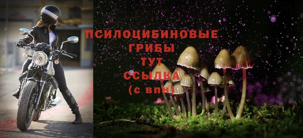 каннабис Магадан