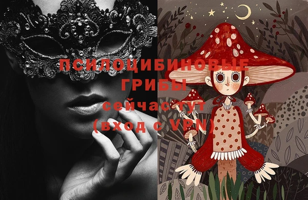 спиды Магас